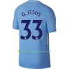Fußballtrikots Manchester City G. Jesus 2017-2018 Kurzarm Heimtrikotsatz kaufen
