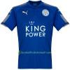 Fußballtrikots Leicester City Mahrez 2017-2018 Kurzarm Heimtrikotsatz kaufen