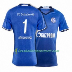 Fußballtrikots FC Schalke 04 FAHRMANN 1 2017-2018 Kurzarm Heimtrikotsatz kaufen