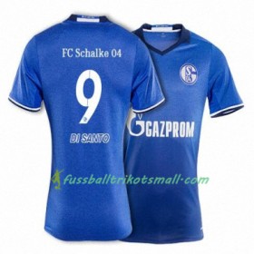 Fußballtrikots FC Schalke 04 DI SANTO 9 2017-2018 Kurzarm Heimtrikotsatz kaufen