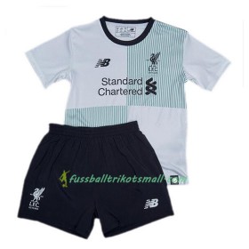 Fußballtrikots Liverpool Kinder 2017-2018 Kurzarm Auswärts-trikot kaufen