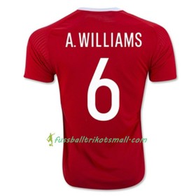 Fußballtrikots Wales A WILLIAMS Heimtrikotsatz Euro 2016